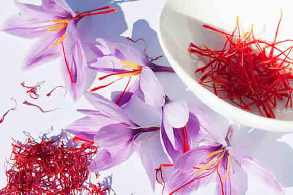 طلای سرخ زعفران